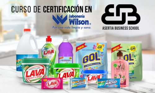 Curso Jaboneria Wilson
